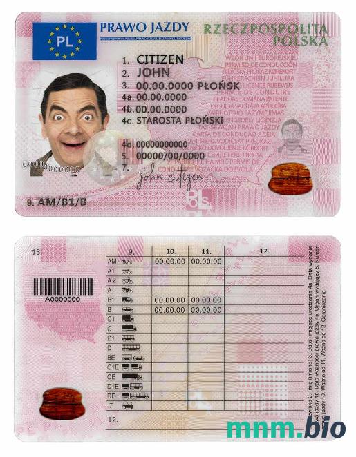 Polski szablon prawa jazdy w formacie PSD, w pełni edytowalny, obecnie 2019